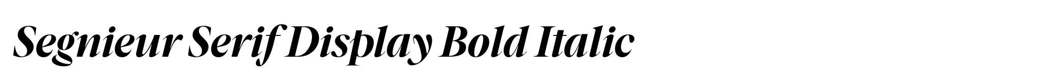 Segnieur Serif Display Bold Italic image